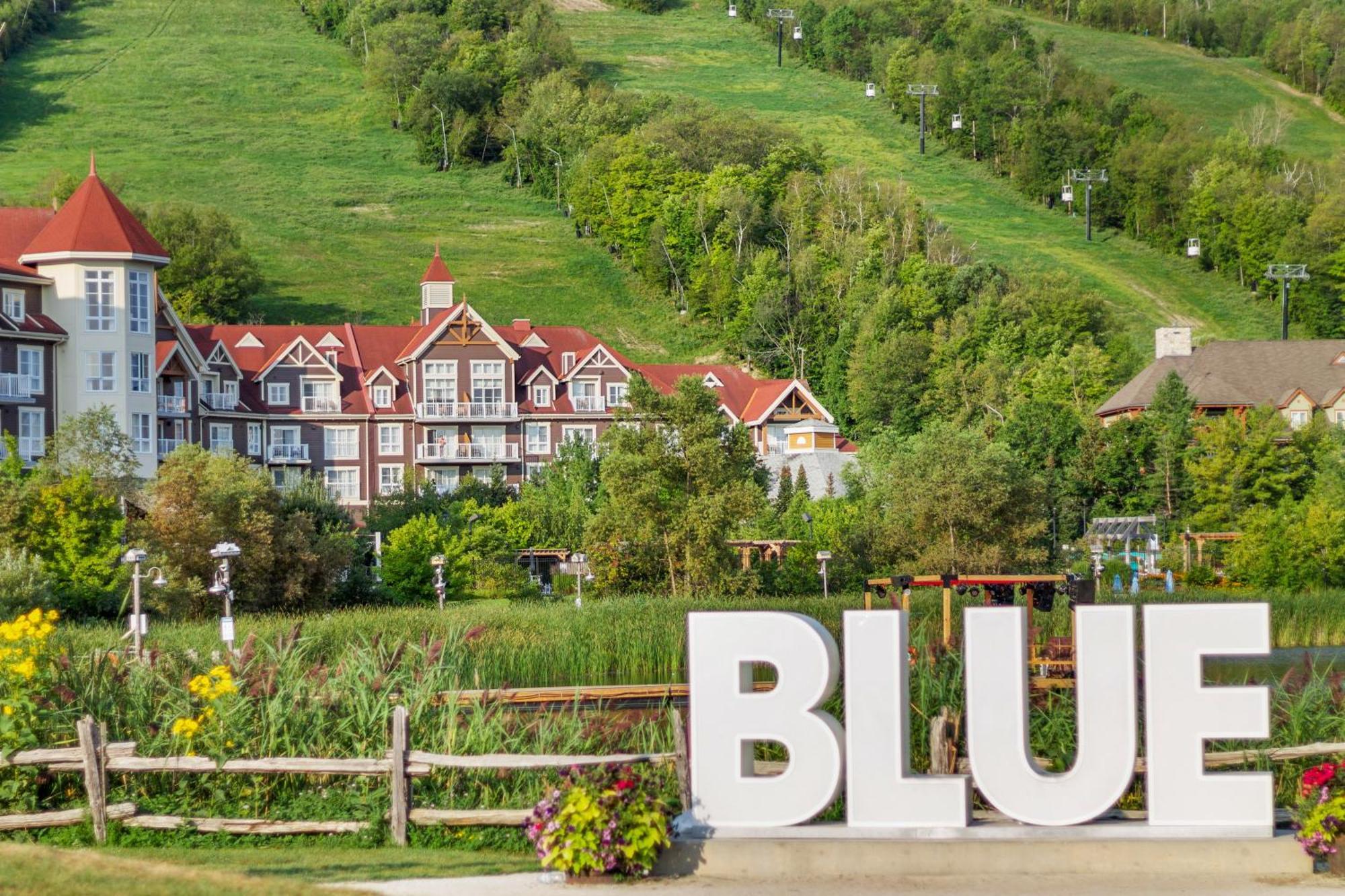 Blue Mtn Chalet With A Sauna, Sleeps 20 Villa Blue Mountains Exterior photo